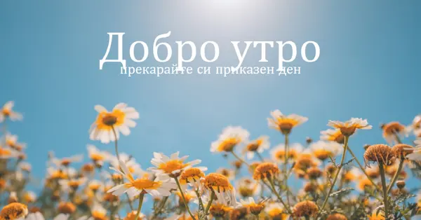 Прекарайте си приказен ден blue modern,simple,photography,flowers,birght,fresh