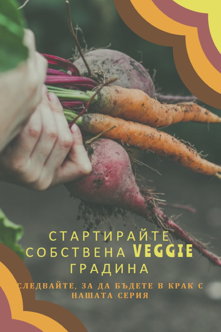Изкоренен живот orange vintage-retro