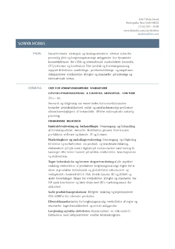 CV, der er rettet mod chefer for lovgivningsaktiviteter black modern simple