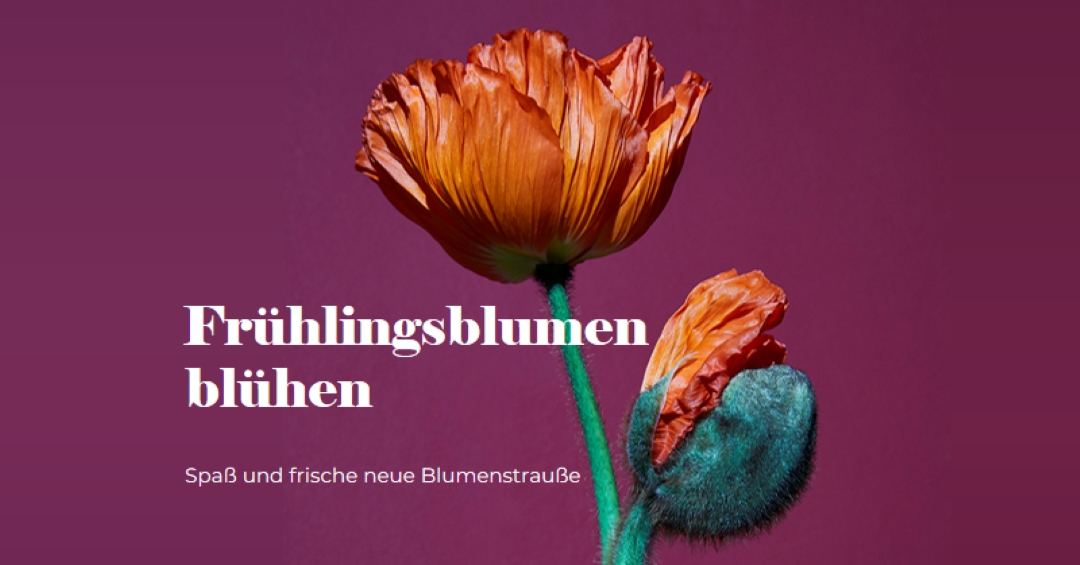 Frische Blumen purple modern-simple