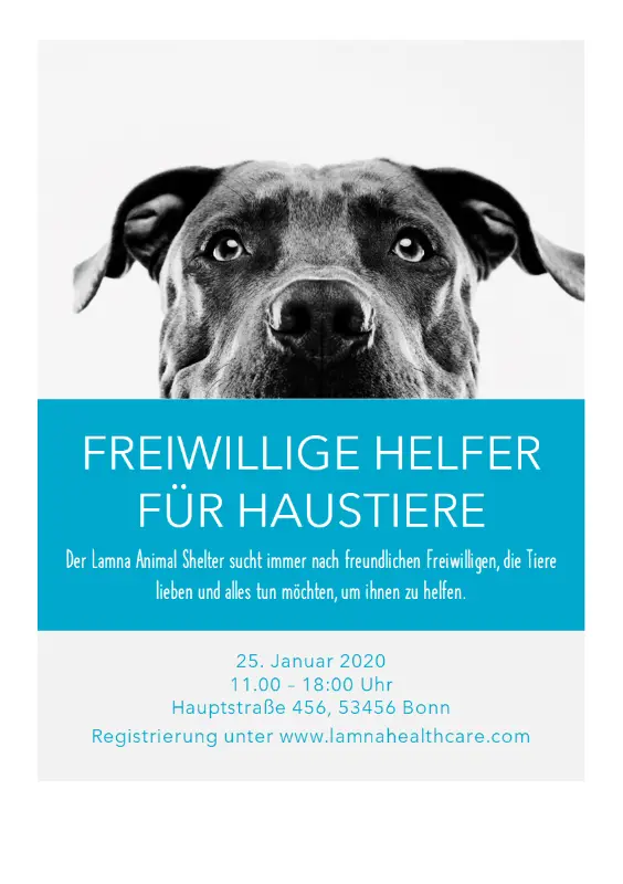 Handzettel für freiwillige Helfer für Haustiere blue modern-simple
