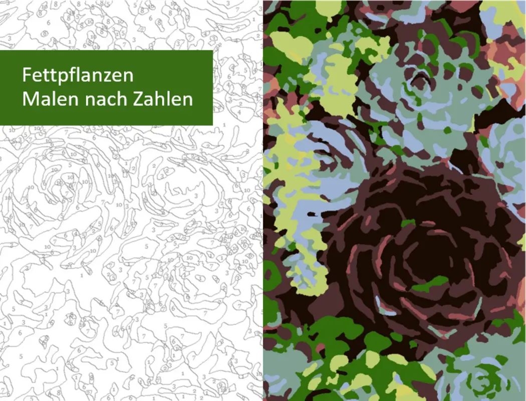 Malen nach Zahlen „Sukkulenten“ organic simple