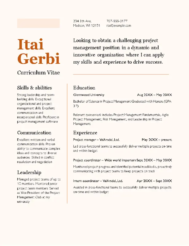 CV (resume) orange modern color block