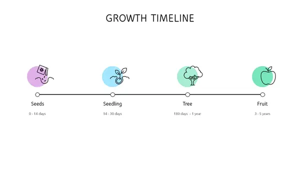 Growth timeline modern-simple