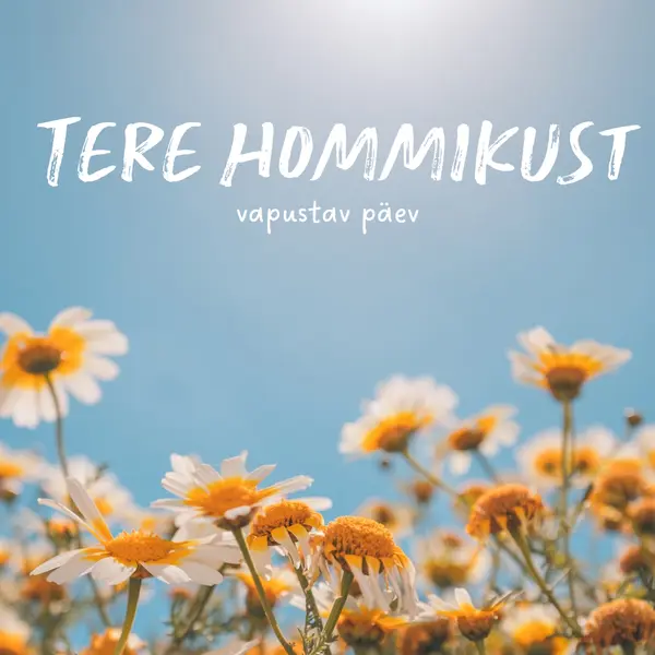 vapustav päev blue modern,simple,photography,flowers,birght,fresh