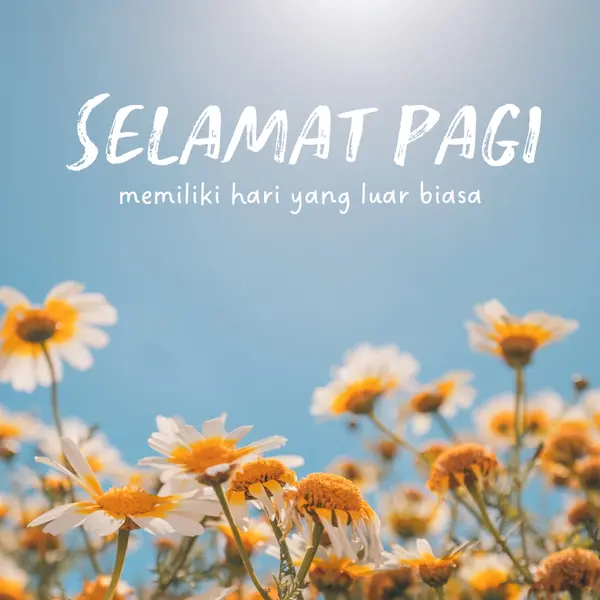 Memiliki hari yang luar biasa blue modern,simple,photography,flowers,birght,fresh