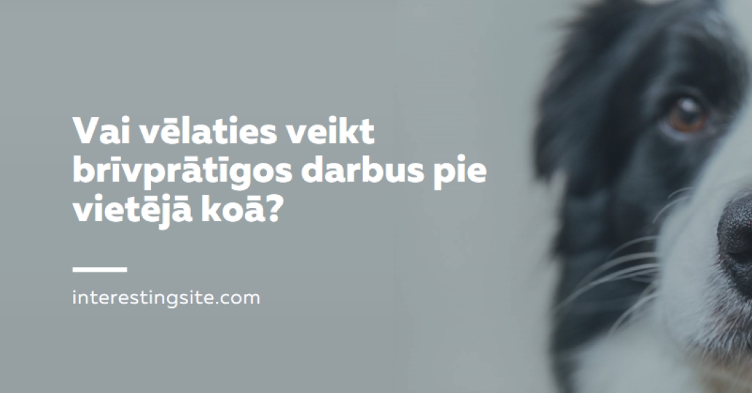 Brīvprātīgo darbs un uzsāciet uzsācību blue modern-simple