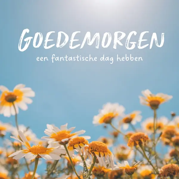 Een fantastische dag hebben blue modern,simple,photography,flowers,birght,fresh
