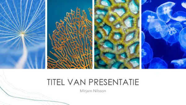 Oceaanpesentatie blue organic-simple