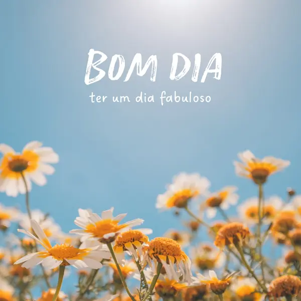 Tenha um dia fabuloso blue modern,simple,photography,flowers,birght,fresh