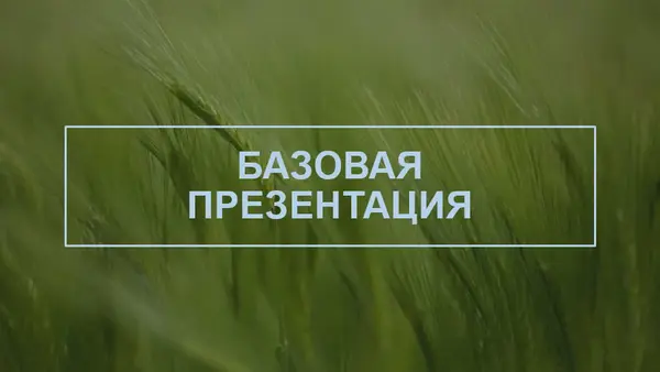 Презентация в красочном исполнении modern-simple