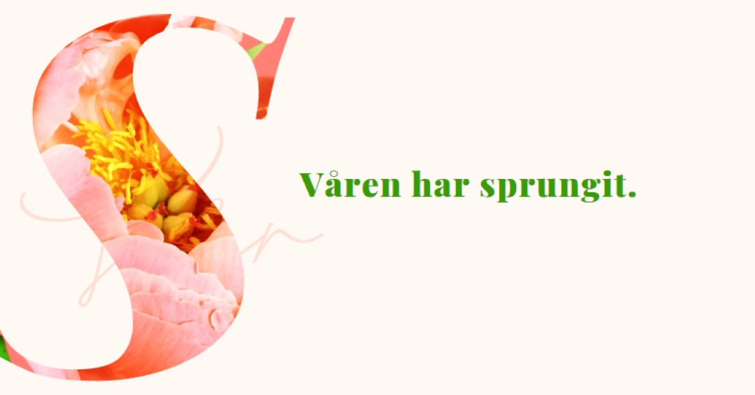 Vårpreening pink vintage-botanical