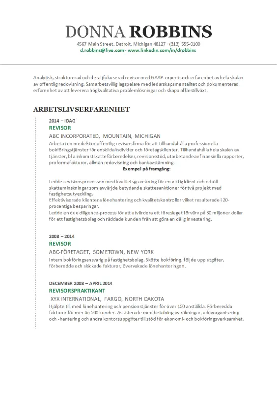 Redovisnings-CV modern-simple