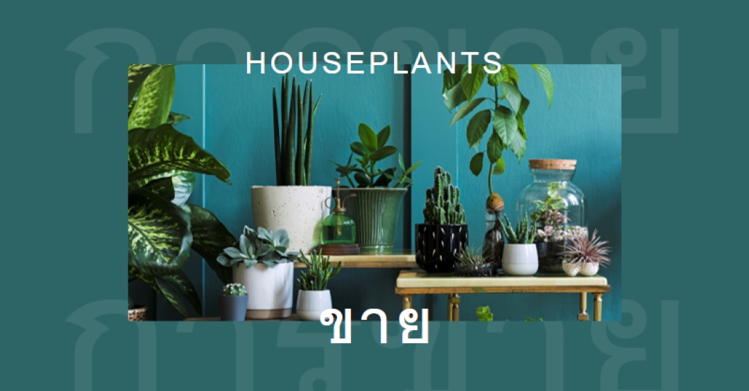 โรงไฟฟ้า green modern-bold