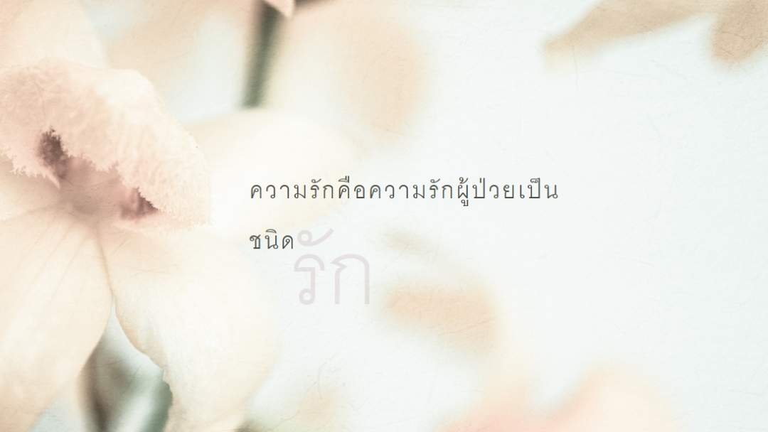 บันทึกความรัก white modern-simple