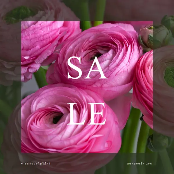 สวนในฤดูใบไม้ผลิ pink modern-simple