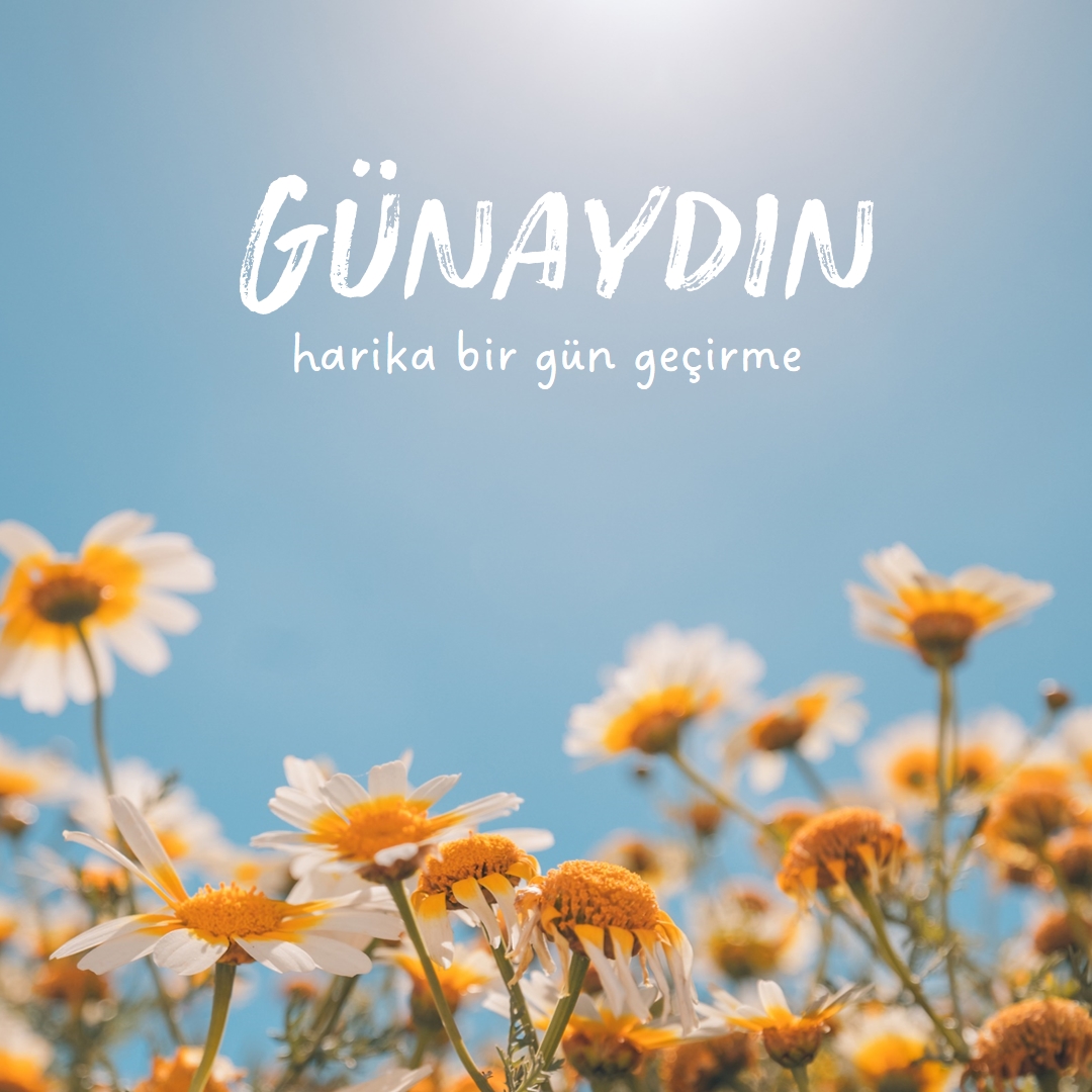 Harika bir gün geçirme blue modern,simple,photography,flowers,birght,fresh