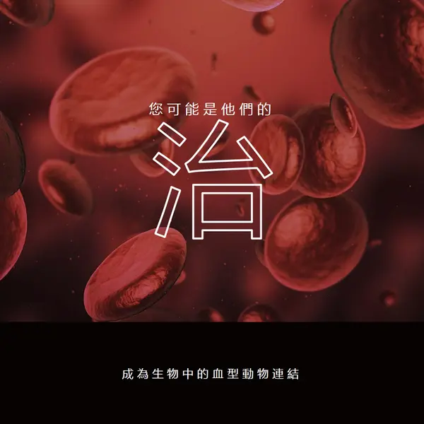 成為血脈動物 red modern-simple